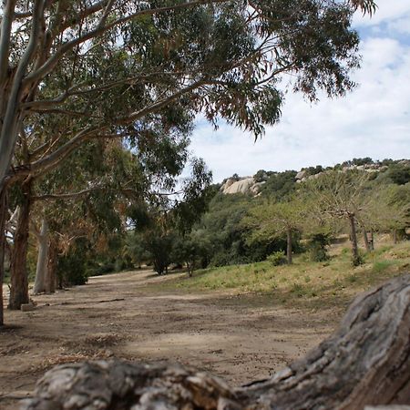 Belle Location Sur Lumio Avec Vue Remarquable Et Jardin别墅 外观 照片