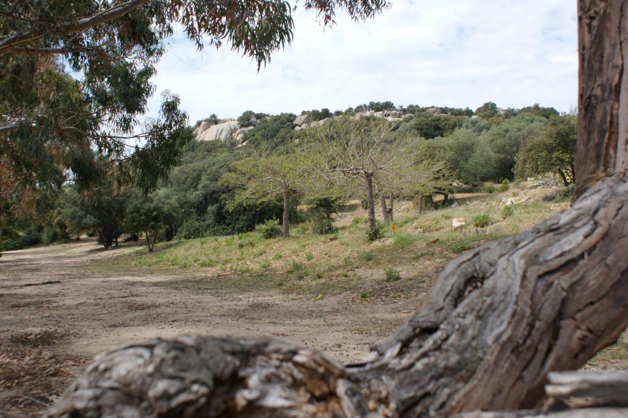 Belle Location Sur Lumio Avec Vue Remarquable Et Jardin别墅 外观 照片