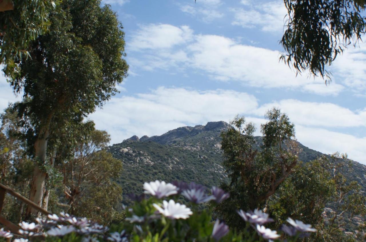 Belle Location Sur Lumio Avec Vue Remarquable Et Jardin别墅 外观 照片