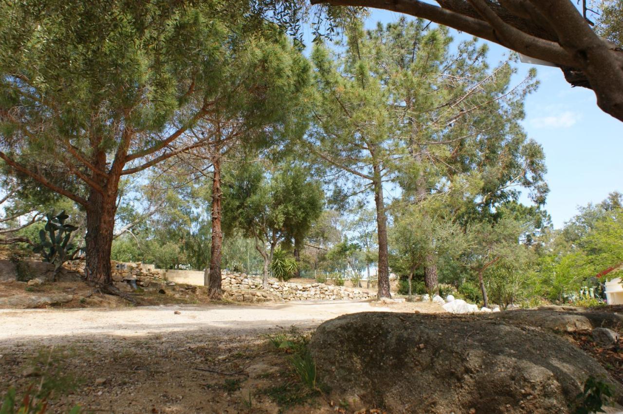 Belle Location Sur Lumio Avec Vue Remarquable Et Jardin别墅 外观 照片