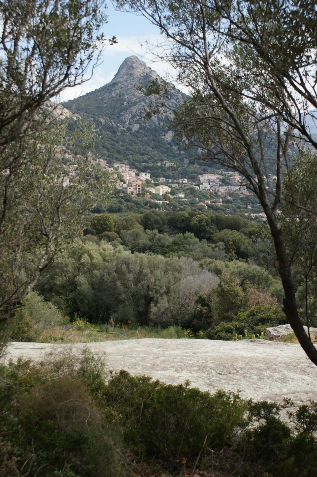 Belle Location Sur Lumio Avec Vue Remarquable Et Jardin别墅 外观 照片