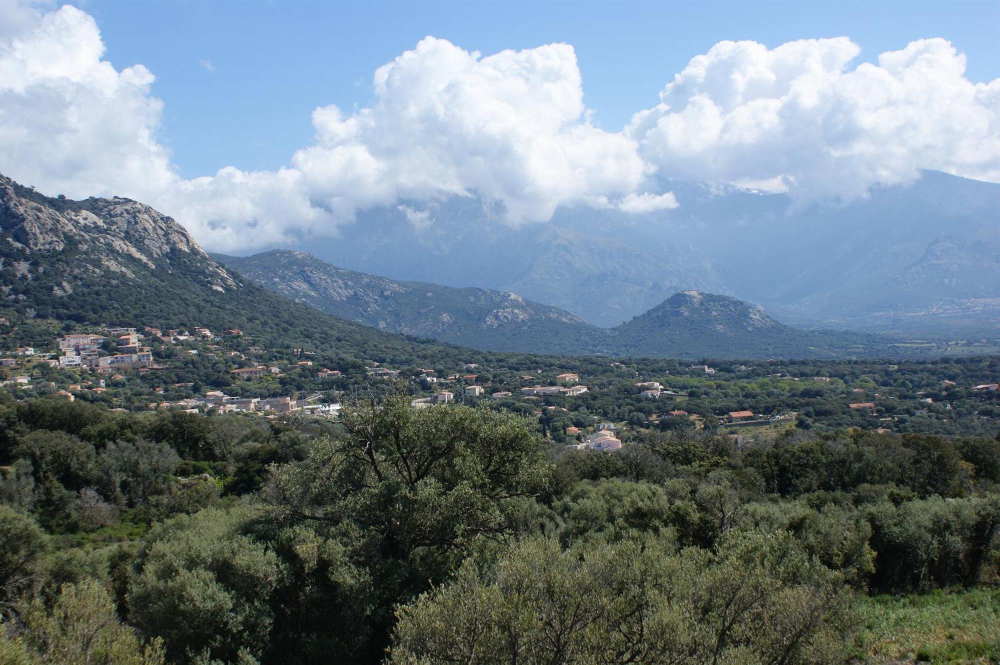 Belle Location Sur Lumio Avec Vue Remarquable Et Jardin别墅 外观 照片